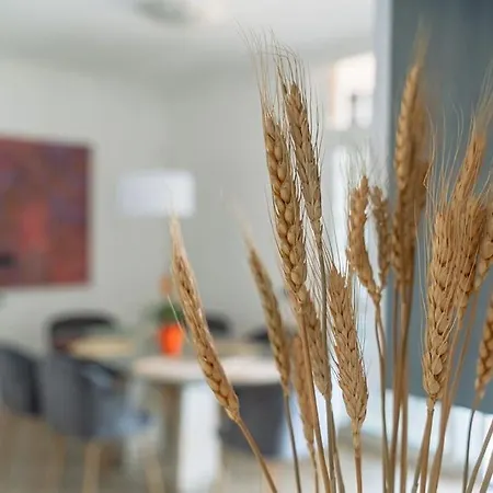 Residenza Dell Agrifoglio Apartment