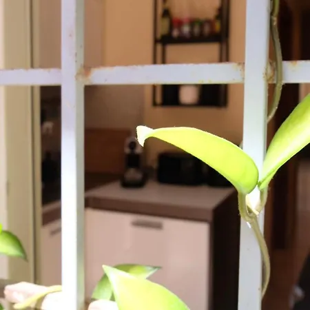 New! Station “termini” Loft Rome
