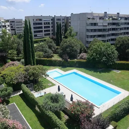 Grazioso Immerso Nel