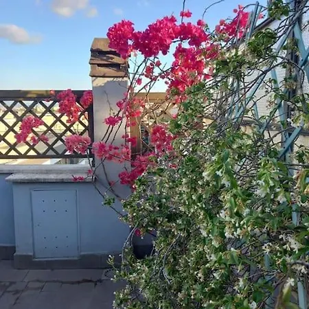 Terrazza Talenti Appartamento