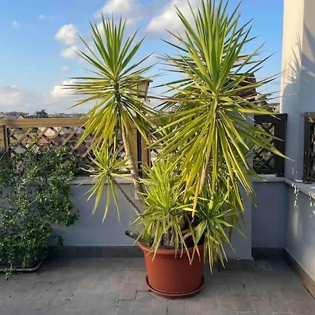 Appartamento Terrazza Talenti
