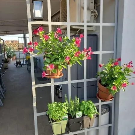 Appartamento Terrazza Talenti Roma
