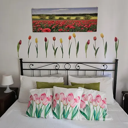 Holiday Il Sogno A San Pietro Apartment Rome