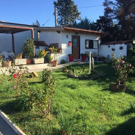 The Flower House Bed & Breakfast *