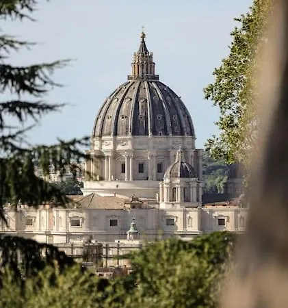 Vatican Vista