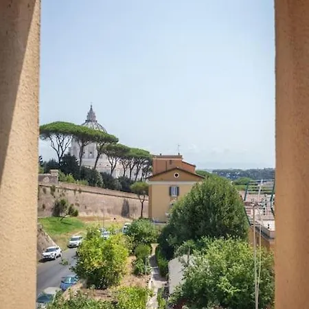 Vatican Vista