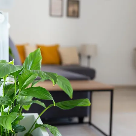 La Terrazza Apartment