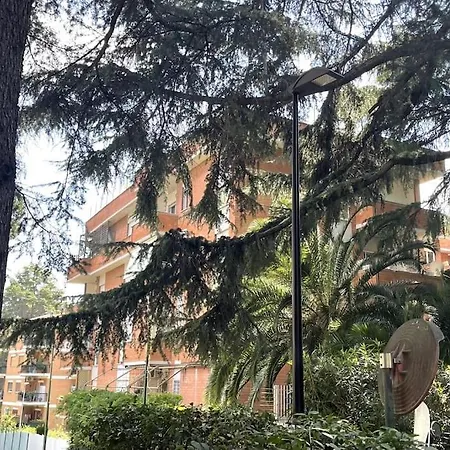 Mansarda Monolocale In Roof Garden