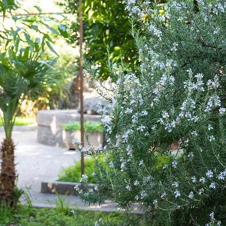 Отель Residenza Leone Xiii *