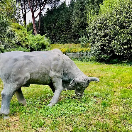 Bovari - Appia Antica Lodge *