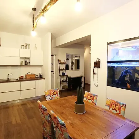 Rooftop Appia Antica,silenzioso Riservato Two Bedrooms Two Bathrooms Appartamento *