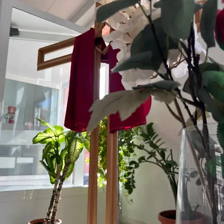 Foresteria Esercito Della Salvezza Hostel Ρώμη