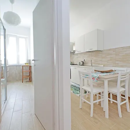 White Wood House *