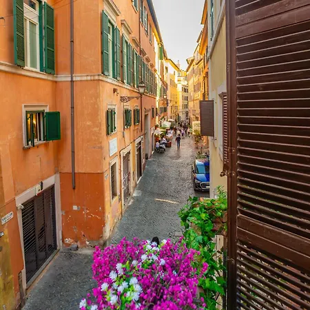 Easy Bear Apartment Rome