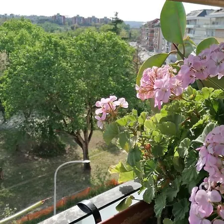 Apartment Conca D'oro 212
