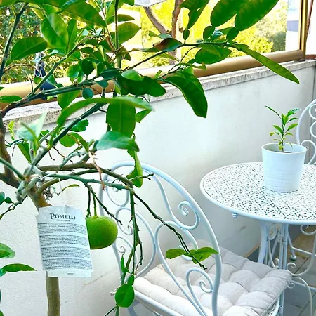 Italian Luxury Appartamento Roma