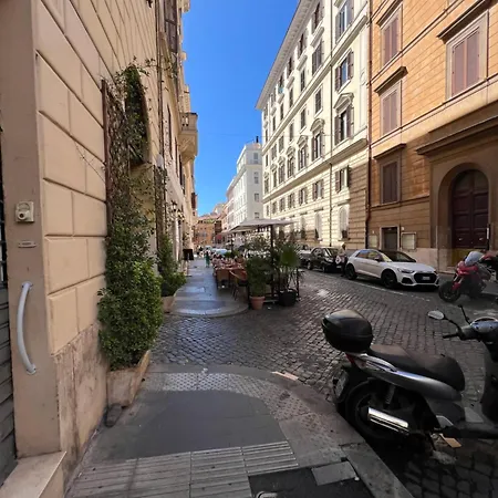 Luxury Anelli Center Of