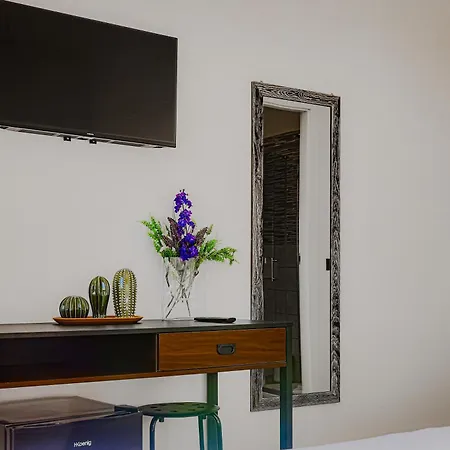 Vatican Vista Apartment *