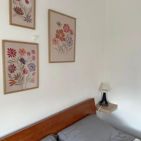 Of Joy - Vatican Apartment
