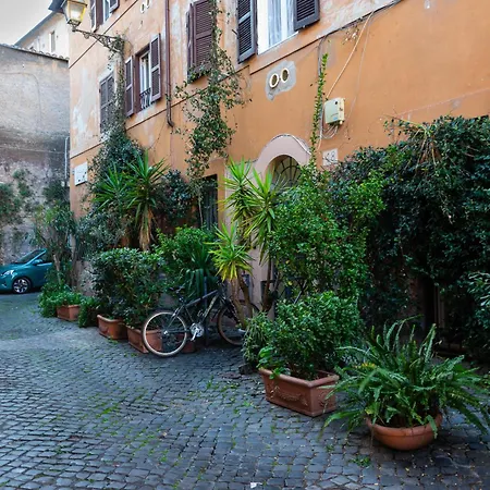 The Hive - In Trastevere * Rome