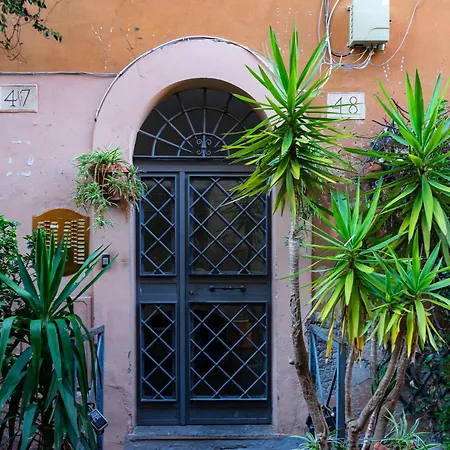 The Hive - In Trastevere * Rome