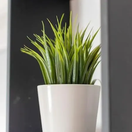 Apartment Living - San Paolo *