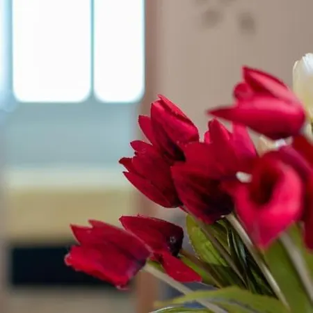 Living - San Paolo Apartment