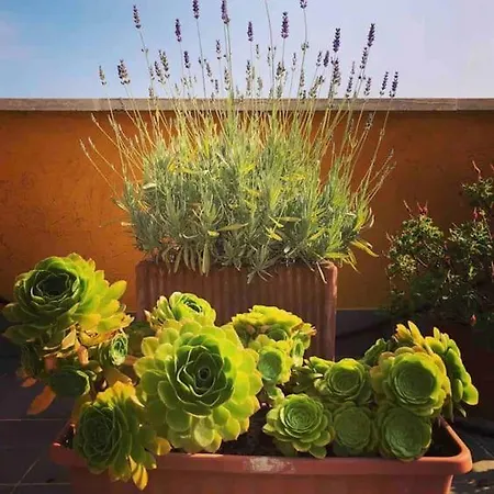 Loft In Garbatella Apartment *
