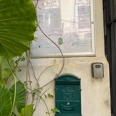 Il Plancton * Řím