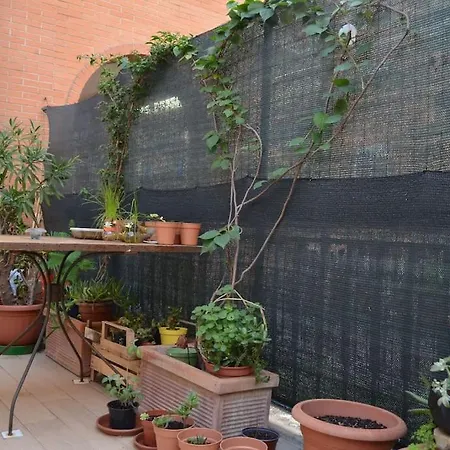 Casanova Property At Trullo-rome Apartment Rome