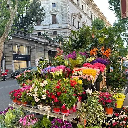 Candia Bed & Breakfast Rome