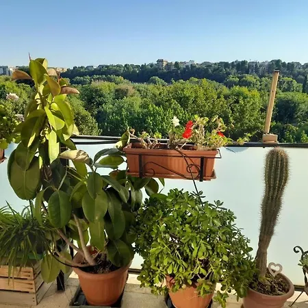 Conca D'oro 212 Apartment
