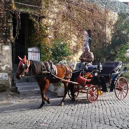 Guest house Hospitales Del Pellegrino - Trastevere