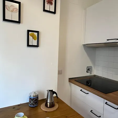 Sampietrino Vatican Apartment Rome