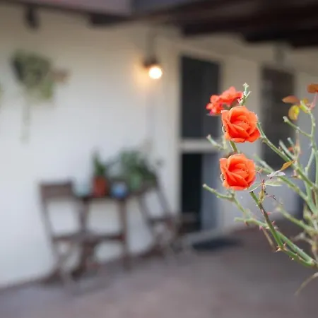 Casa Dantemini Casa Fiera Di Piana Del Solerm Fiumicino * Rome