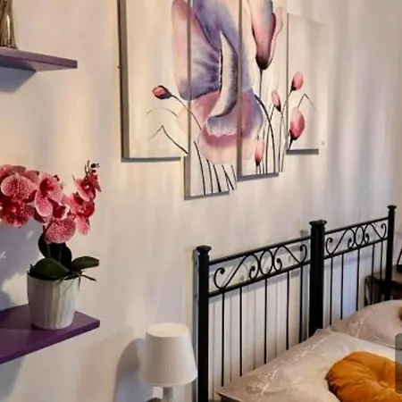 Guest house Romoli Comfort House *