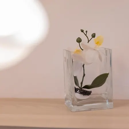 Angelina Apartment