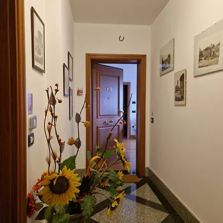 5 Floor Rome