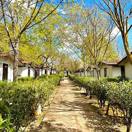 Happy Village &