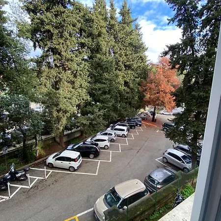 Sofia's Rome
