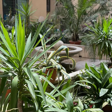 Guest house Sweet Vatican *
