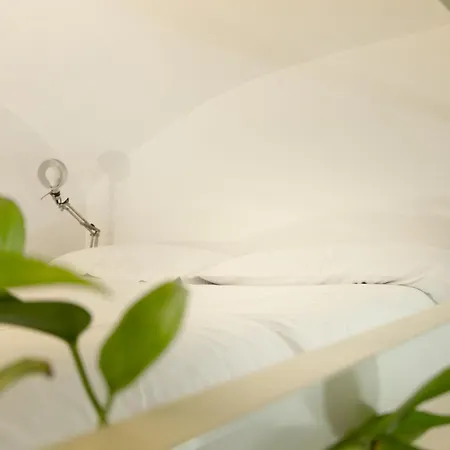 Cozy Saint John Appartamento Roma
