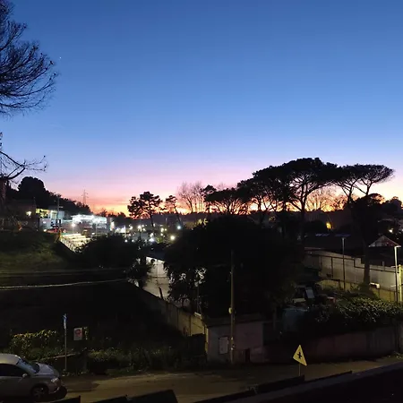 Belvedere * Roma