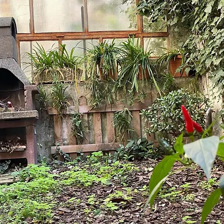 Il Giardino Di Frida Roma
