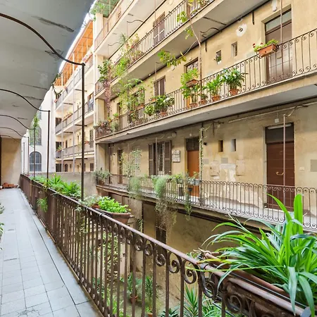 San Lorenzo Moderna * Rome
