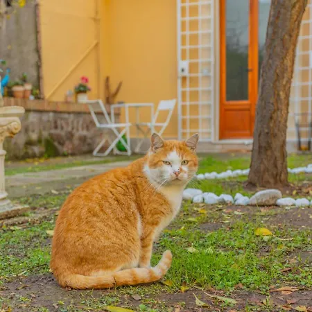Homestay Gatta Rome