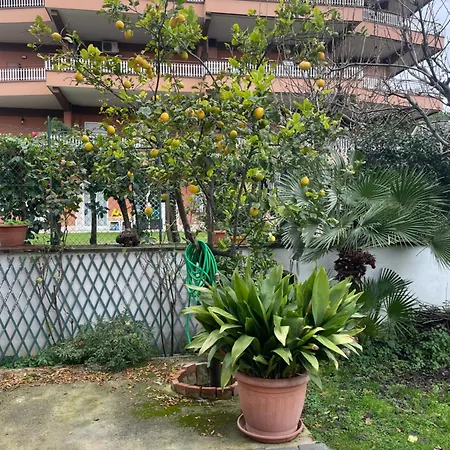 Appartamento Rome Villa *