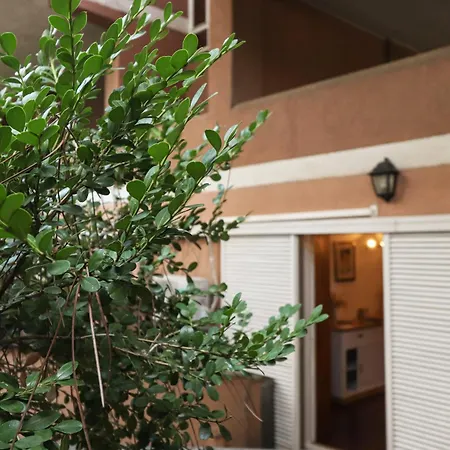 Casa Del Koala Al Gemelli Hospital * Roma