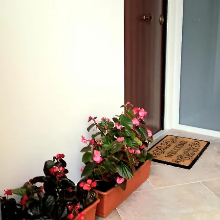 Appartamento Casa Delle Begonie Roma