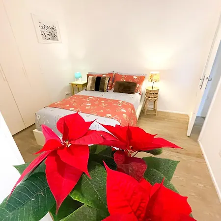 Apartment Casetta Vaticano Rome
